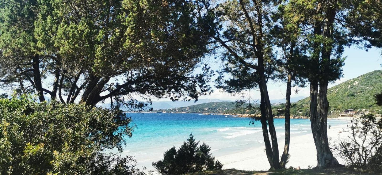 Studio Avec Terasse Vue Mer Porticcio  Eksteriør bilde