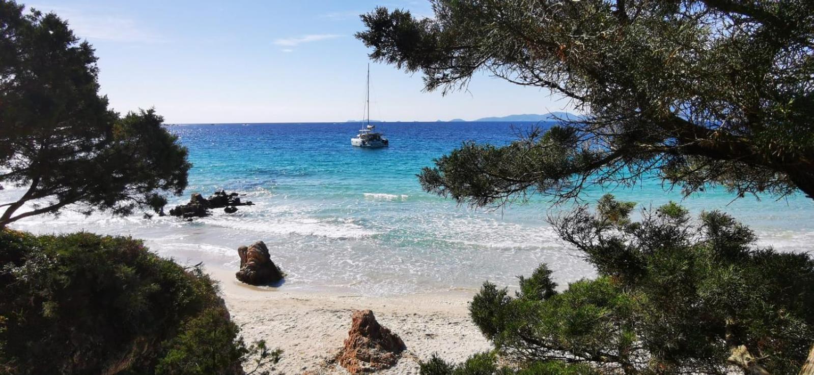Studio Avec Terasse Vue Mer Porticcio  Eksteriør bilde